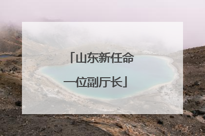 山东新任命一位副厅长
