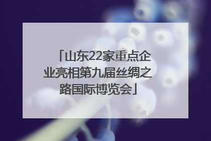 山东22家重点企业亮相第九届丝绸之路国际博览会