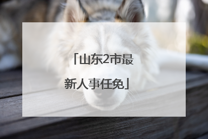 山东2市最新人事任免