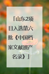 山东2项目入选第六批《中国档案文献遗产名录》