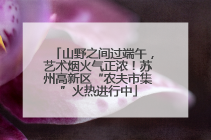 山野之间过端午，艺术烟火气正浓！苏州高新区“农夫市集”火热进行中