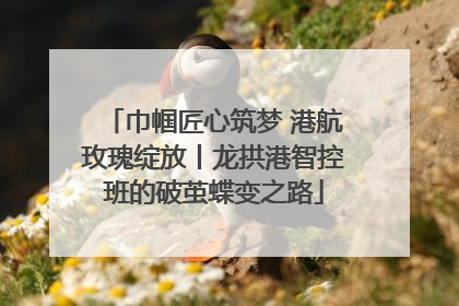 巾帼匠心筑梦 港航玫瑰绽放丨龙拱港智控班的破茧蝶变之路