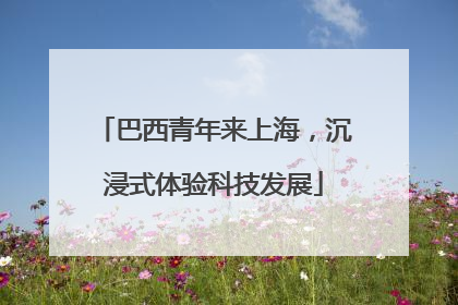 巴西青年来上海，沉浸式体验科技发展