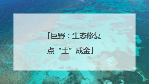 巨野：生态修复点“土”成金