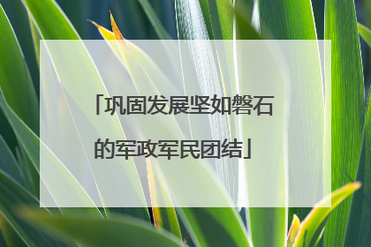 巩固发展坚如磐石的军政军民团结