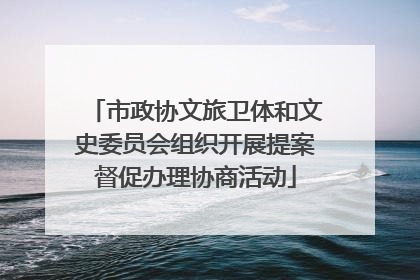 市政协文旅卫体和文史委员会组织开展提案督促办理协商活动