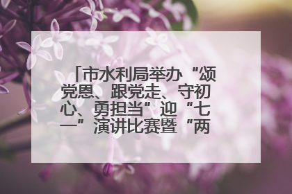 市水利局举办“颂党恩、跟党走、守初心、勇担当”迎“七一”演讲比赛暨“两优一先”表彰活动