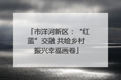 市洋河新区：“红蓝”交融 共绘乡村振兴幸福画卷