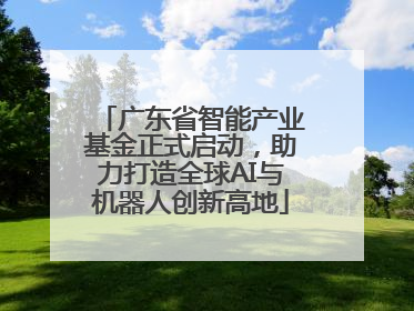 广东省智能产业基金正式启动，助力打造全球AI与机器人创新高地