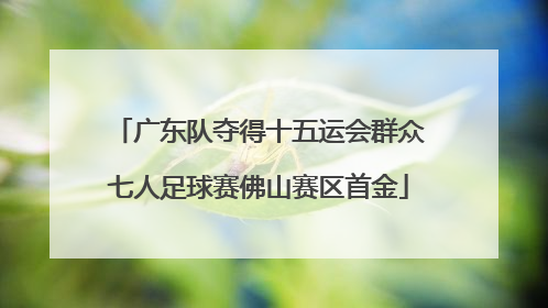 广东队夺得十五运会群众七人足球赛佛山赛区首金
