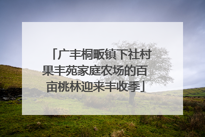 广丰桐畈镇下社村果丰苑家庭农场的百亩桃林迎来丰收季