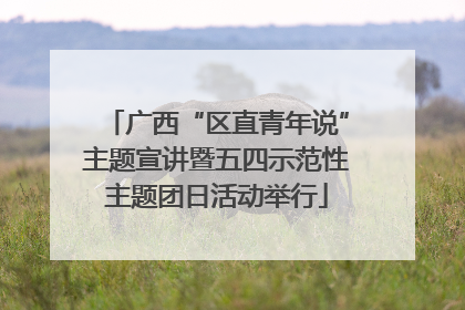 广西“区直青年说”主题宣讲暨五四示范性主题团日活动举行