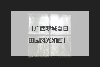 广西罗城夏日田园风光如画
