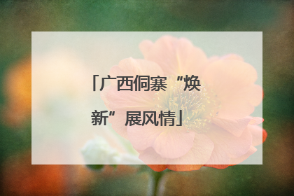 广西侗寨“焕新”展风情