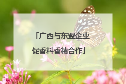 广西与东盟企业促香料香精合作