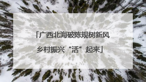 广西北海破陈规树新风 乡村振兴“活”起来