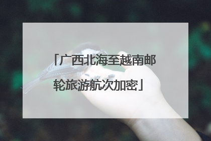 广西北海至越南邮轮旅游航次加密
