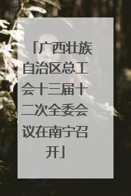 广西壮族自治区总工会十三届十二次全委会议在南宁召开