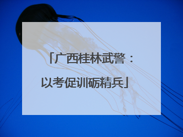 广西桂林武警：以考促训砺精兵
