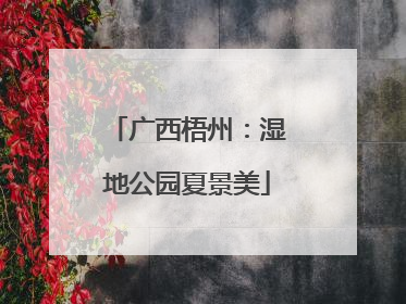 广西梧州：湿地公园夏景美