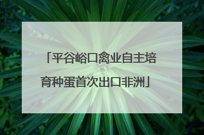 平谷峪口禽业自主培育种蛋首次出口非洲