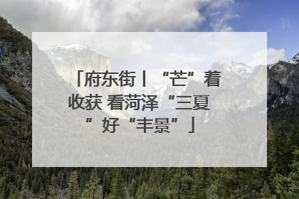 府东街丨“芒”着收获 看菏泽“三夏”好“丰景”