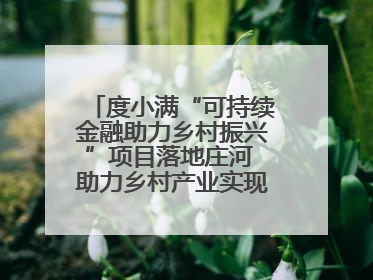 度小满“可持续金融助力乡村振兴”项目落地庄河 助力乡村产业实现绿色转型