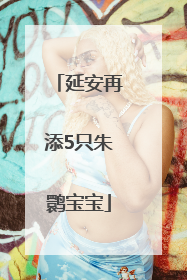 延安再添5只朱鹮宝宝