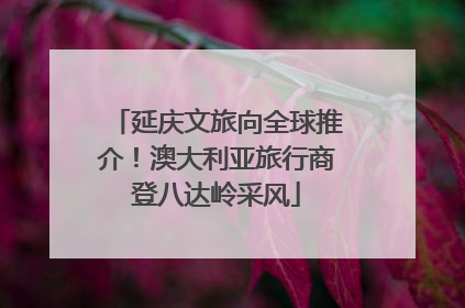 延庆文旅向全球推介！澳大利亚旅行商登八达岭采风