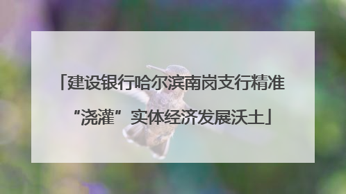 建设银行哈尔滨南岗支行精准“浇灌”实体经济发展沃土