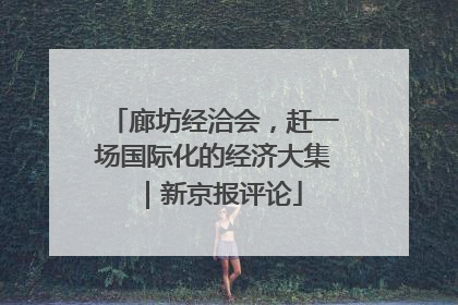廊坊经洽会，赶一场国际化的经济大集｜新京报评论