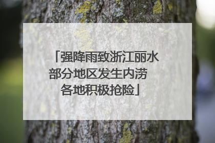 强降雨致浙江丽水部分地区发生内涝 各地积极抢险