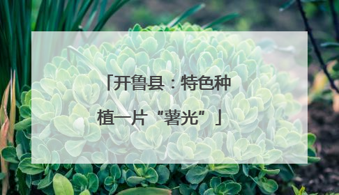 开鲁县：特色种植一片“薯光”