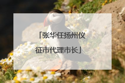 张华任扬州仪征市代理市长