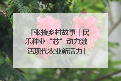 张掖乡村故事｜民乐种业“芯”动力激活现代农业新活力