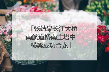 张靖皋长江大桥南航道桥南主塔中横梁成功合龙