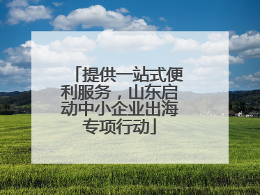 提供一站式便利服务，山东启动中小企业出海专项行动
