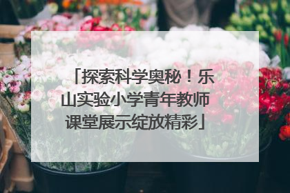 探索科学奥秘！乐山实验小学青年教师课堂展示绽放精彩