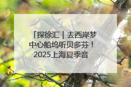 探徐汇｜去西岸梦中心船坞听贝多芬！2025上海夏季音乐节公布节目阵容