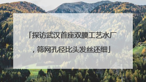 探访武汉首座双膜工艺水厂，筛网孔径比头发丝还细