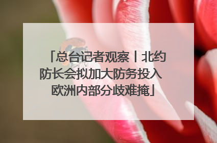 总台记者观察丨北约防长会拟加大防务投入 欧洲内部分歧难掩