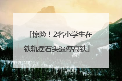惊险！2名小学生在铁轨摆石头逼停高铁