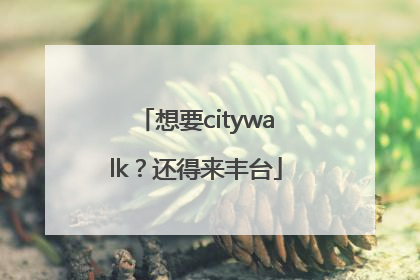 想要citywalk？还得来丰台