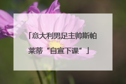 意大利男足主帅斯帕莱蒂“自宣下课”