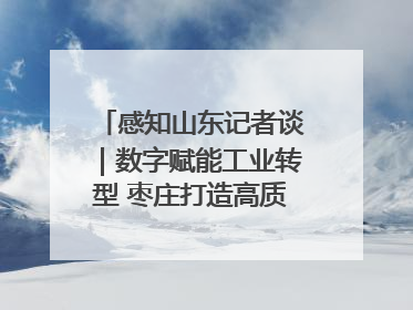 感知山东记者谈｜数字赋能工业转型 枣庄打造高质量发展新引擎