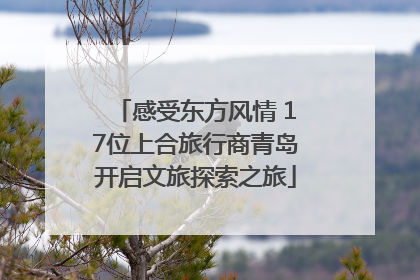 感受东方风情 17位上合旅行商青岛开启文旅探索之旅