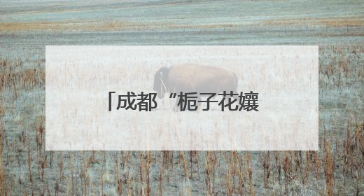 成都“栀子花孃孃”带脑瘫儿摆地摊感动全网 有人专程坐地铁来买花！丨封面头条