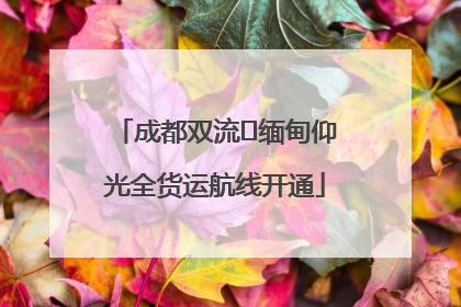 成都双流⇌缅甸仰光全货运航线开通