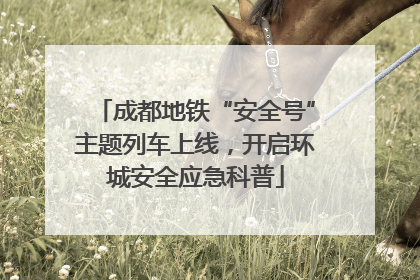 成都地铁“安全号”主题列车上线，开启环城安全应急科普