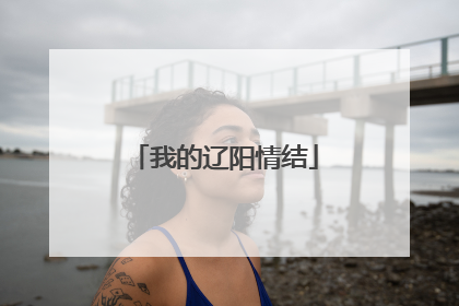 我的辽阳情结